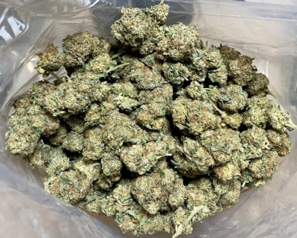 Premium Skunk 3.5G, Hybrid, 17% THC