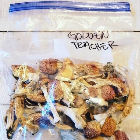 Golden Teacher 1OZ