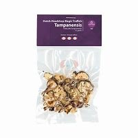 Magic Truffles Tampanensis 28 GRAMS
