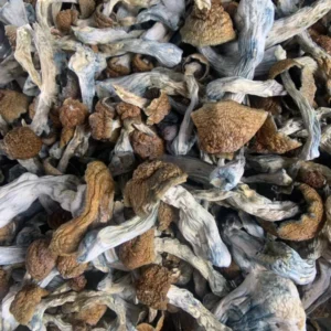 Buy Magic Mushrooms Online